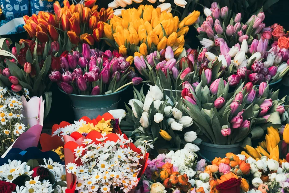 Les Fleurs de Grasse à Grasse
