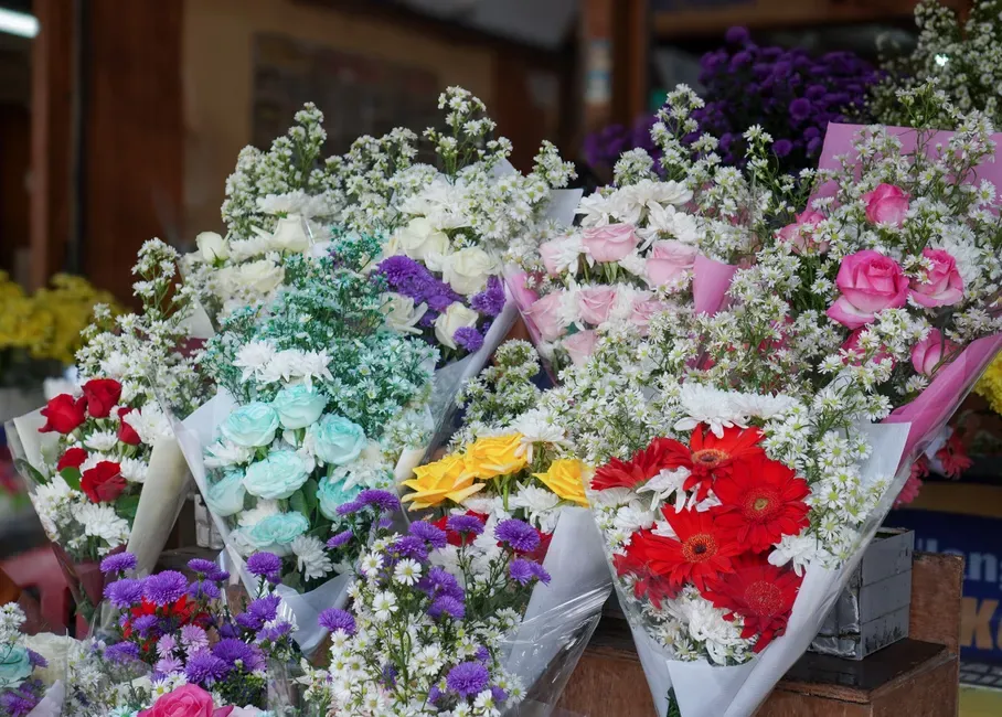 Les Fleurs de Grasse